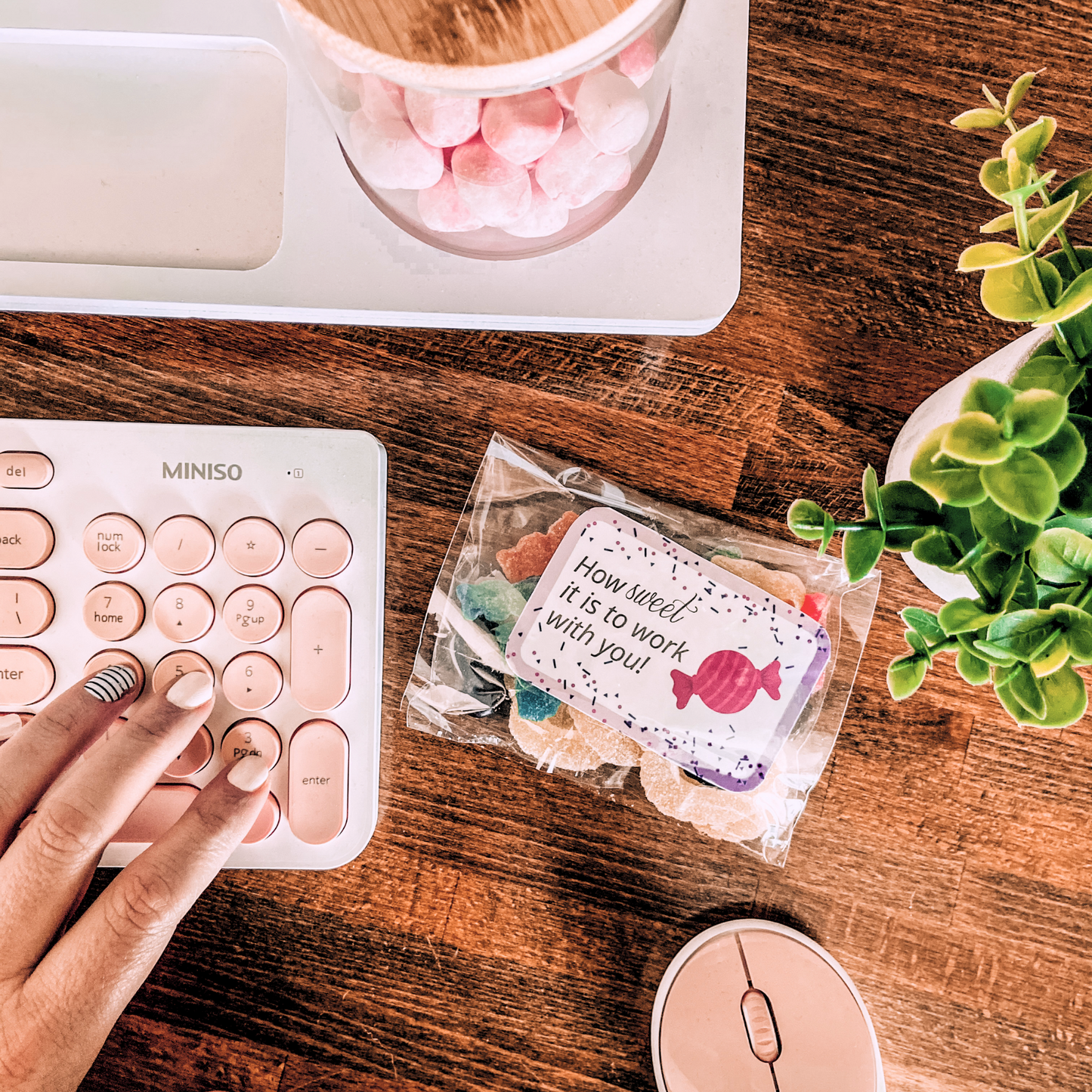 5 Amazing Ways to Celebrate Your Volunteer Team!