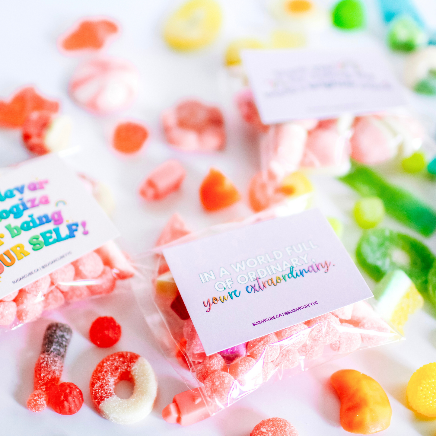 Spread the Pride Candy Bag Package