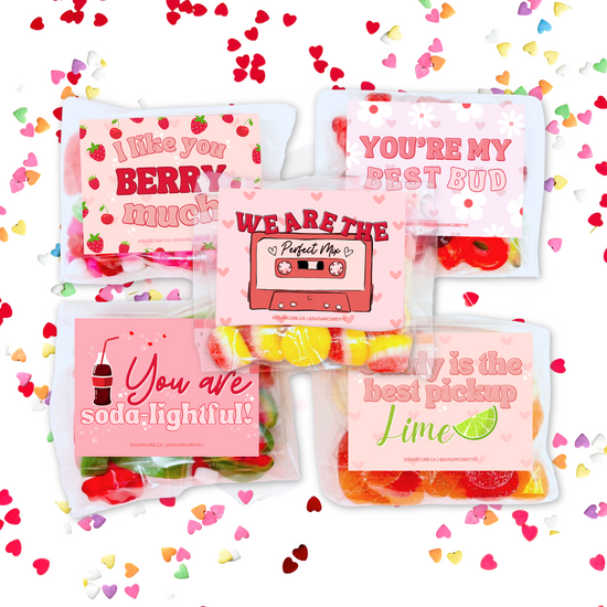 Spread the Love Valentine's Day Candy Bag Package